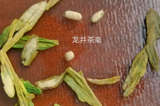 西湖龍井茶毫和發(fā)霉區(qū)別圖片，長霉的龍井茶葉會是什么樣？