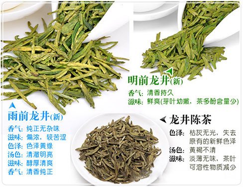 西湖龍井新茶和陳茶的區(qū)別，怎么區(qū)分龍井新茶和舊茶？