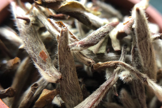 白毫銀針年份越久越好嗎，銀針白毫是否越陳越好