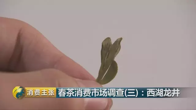 龍井群體種和43號(hào)的區(qū)別圖片，龍井43和群體種哪個(gè)好喝？