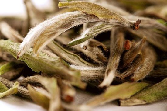 荒野銀針有什么特點，荒野銀針的味道口感咋樣？