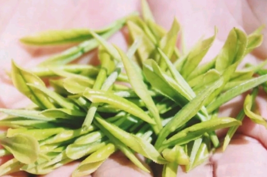 龍井是明前的好還是雨前的好，明前茶和雨前茶哪個好喝？