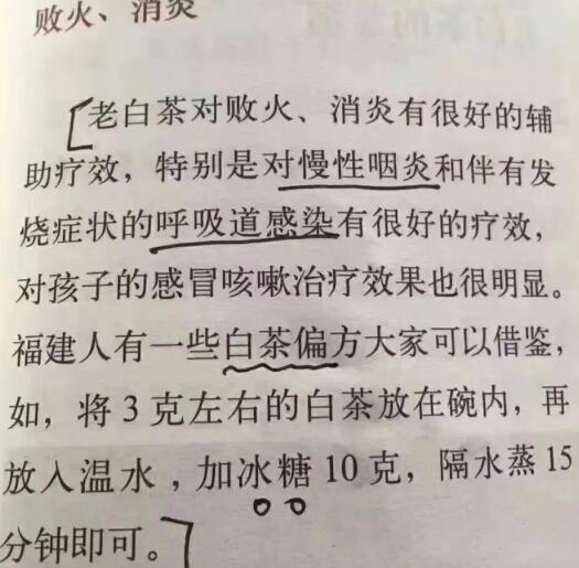 老白茶上火還是去火？夏季喝煮的老白茶會容易上火！