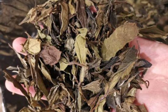 新舊白茶怎么區(qū)分，怎么分辨白茶是新還是舊