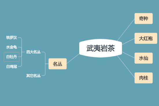 武夷巖茶品種大全，巖茶有幾種？