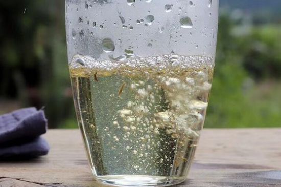 三年白茶賽砒霜，這是真的嗎？