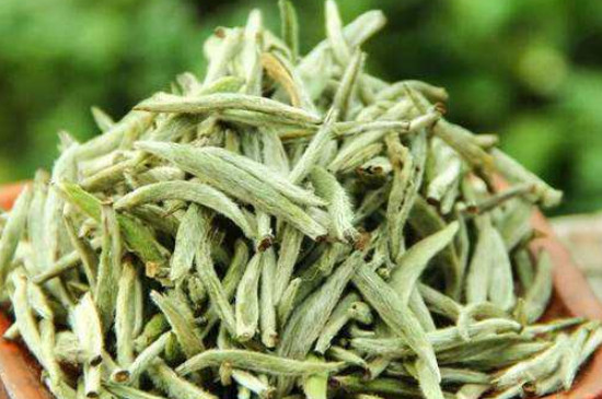 白毫銀針年份越久越好嗎，銀針白毫是否越陳越好