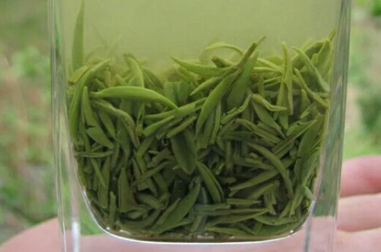 什么綠茶茶葉唇齒留香，哪個品種綠茶香氣好？