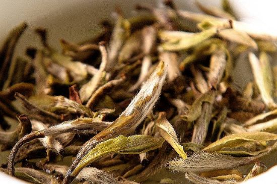 荒野銀針市場價(jià)多少，真正的荒野白毫銀針多少錢？