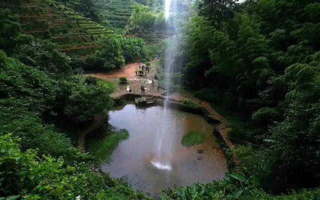 武夷山為什么盛產茶葉，武夷山茶為什么好喝？