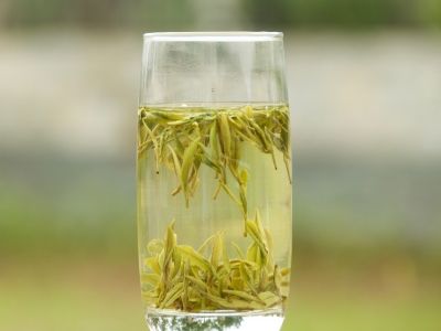 霍山黃芽算是好茶嗎，霍山黃芽屬于什么茶？