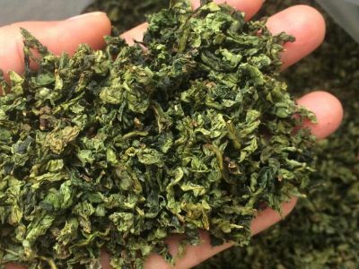 鐵觀音毛茶茶?？梢耘菟葐?，鐵觀音帶梗是不是好茶？