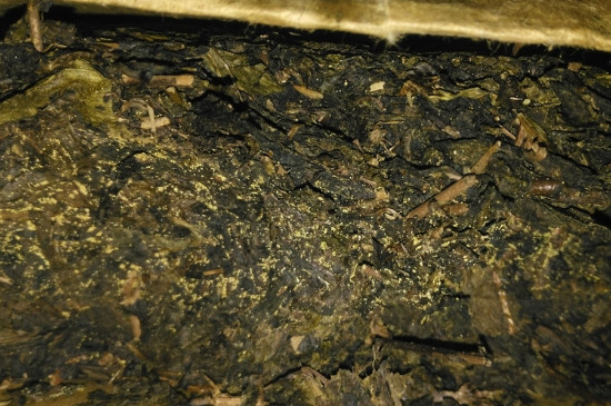 黑茶茯茶保存五大忌，茯茶收藏的注意事項