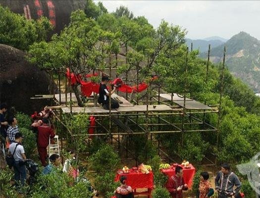 宋種一號(hào)價(jià)值為什么高，鳳凰單樅宋種1號(hào)價(jià)格與產(chǎn)量多少？