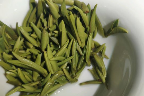 竹葉青茶怎么泡，竹葉青如何沖泡