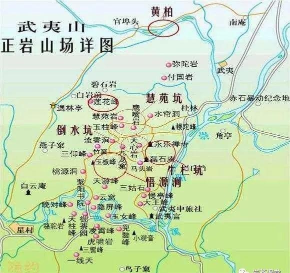 肉桂茶和大紅袍哪個(gè)貴，武夷山肉桂與大紅袍的價(jià)格比較