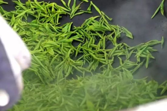 碧螺春為什么泡水渾濁，碧螺春茶葉泡水感覺很臟是混濁的