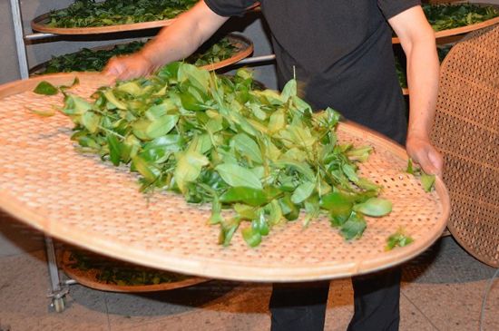 鐵觀(guān)音加香精騙局，鐵觀(guān)音的香味是添加香精了嗎？