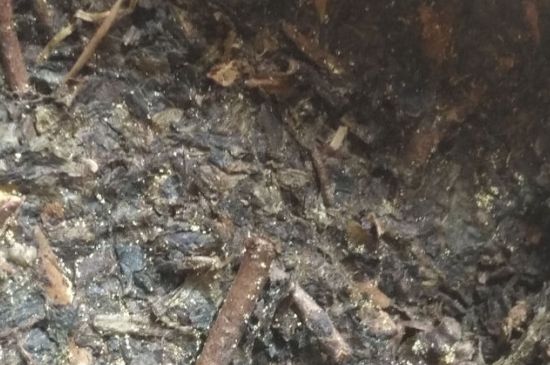 黑茶茯茶保存五大忌，茯茶收藏的注意事項