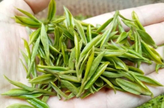 什么是雪前龍井茶，明前、雨前、雨后龍井有什么區(qū)別？