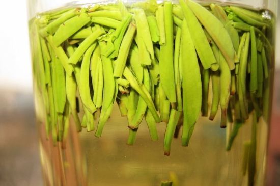 雀舌為何喝著是苦的，雀舌味道怎么那么苦澀？