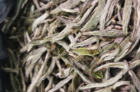 白毫銀針年份越久越好嗎，銀針白毫是否越陳越好