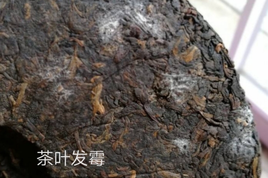 西湖龍井茶毫和發(fā)霉區(qū)別圖片，長霉的龍井茶葉會是什么樣？